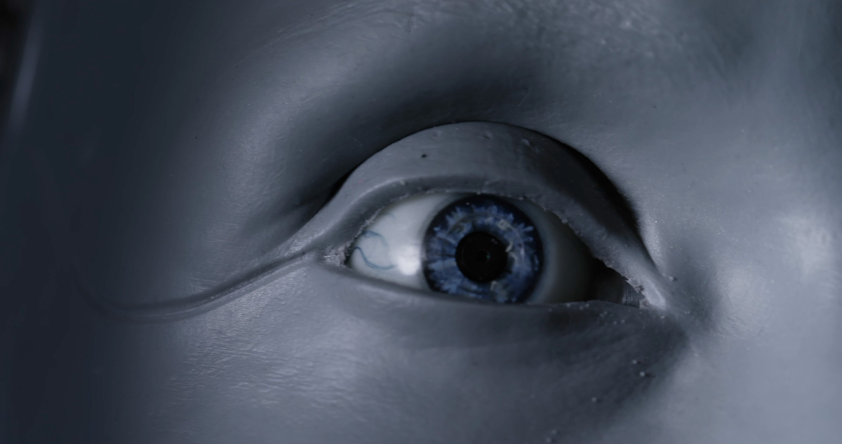 Human Fiction