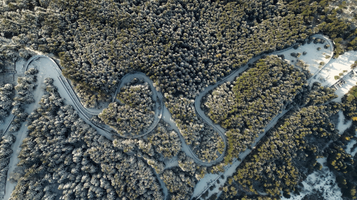 The Track