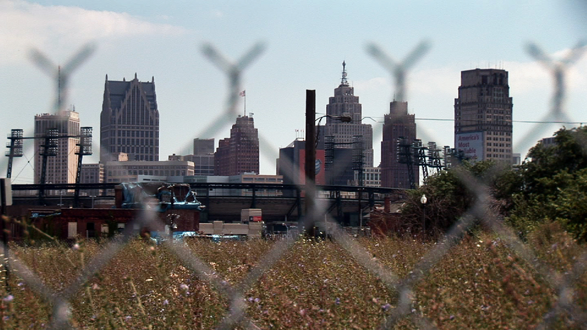 Detroit Wild City