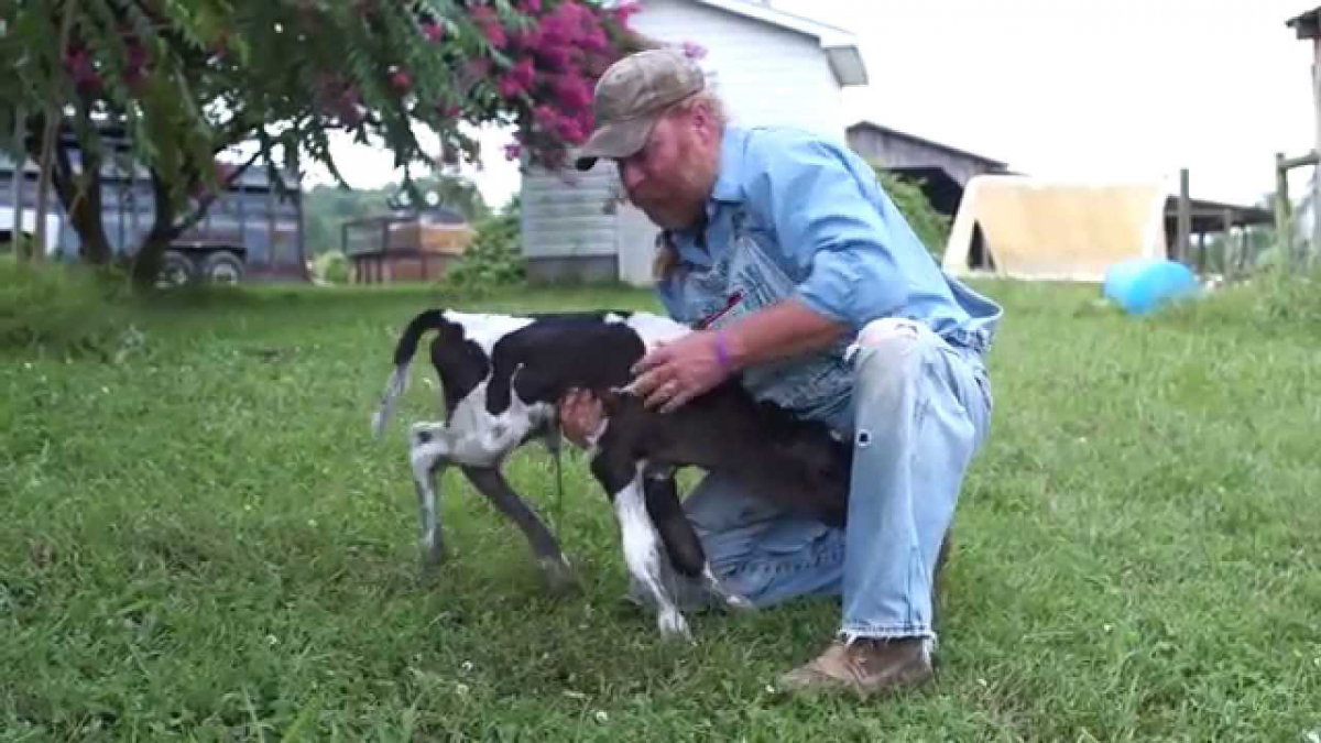 The Last Barn Dance