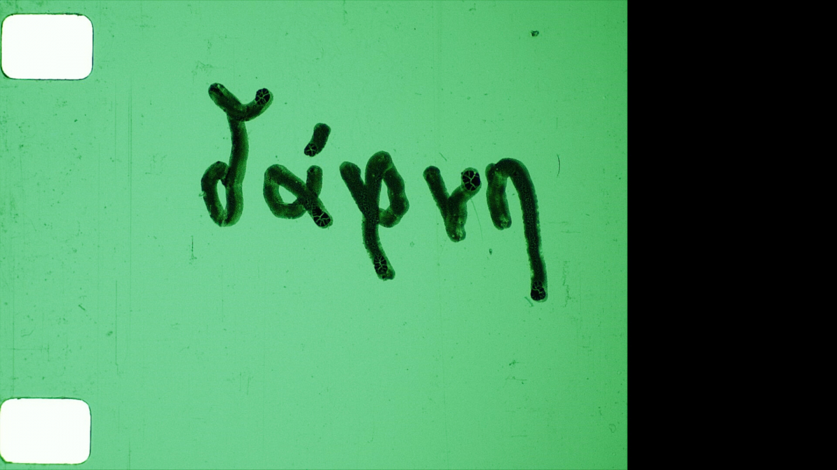 Daphne was a torso ending in leaves