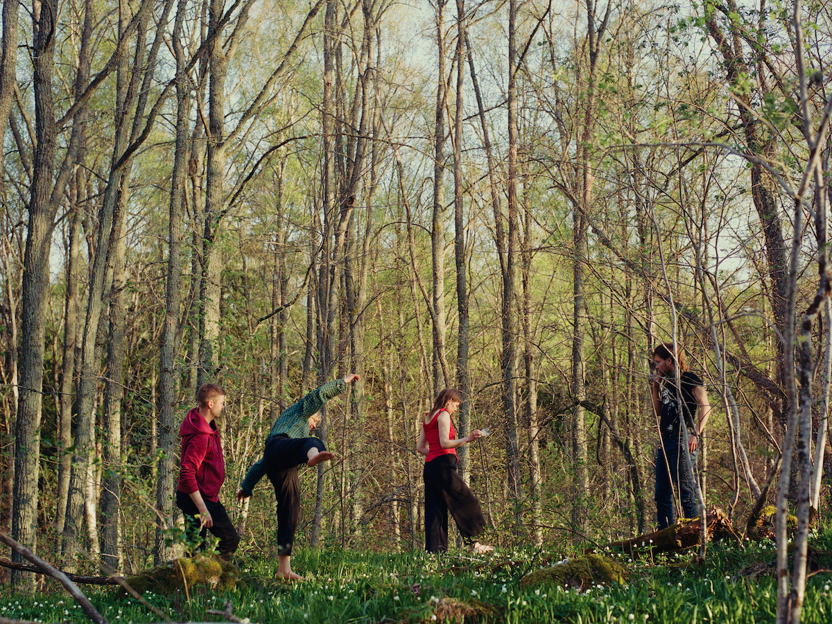 Once Upon a Time in a Forest