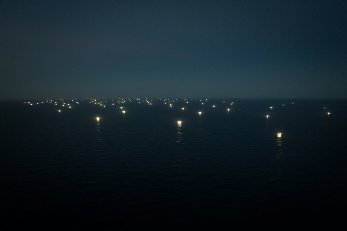 Squid Fleet