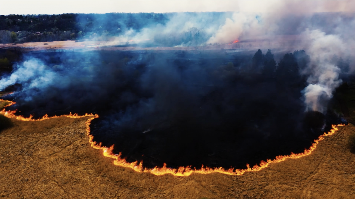 Wildfires