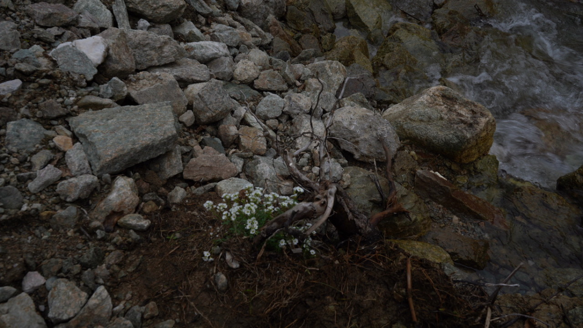 The Torrent Of Nothing