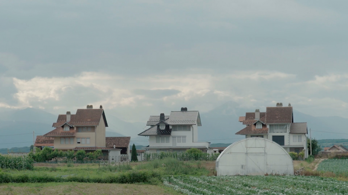 Blood in the blackbirds' field. A story of war, justice and resilience.