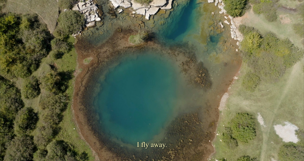 Those Sweet Murky Waters