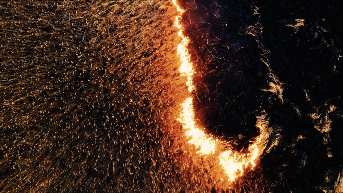 Wildfires