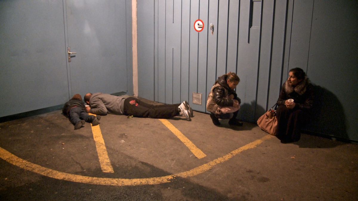 The Shelter