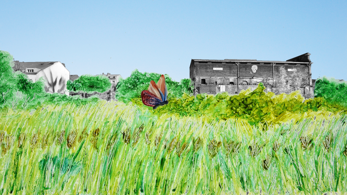 The Wiels Marsh