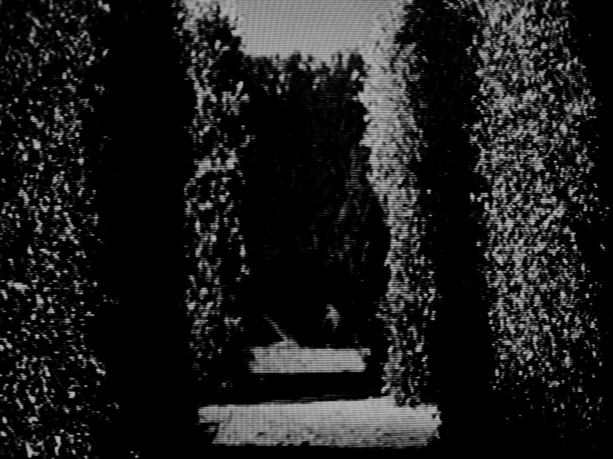 Laberint Sequences