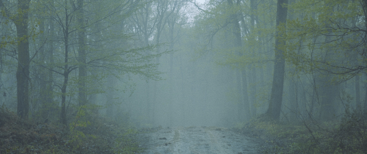 Forms of Forgetting