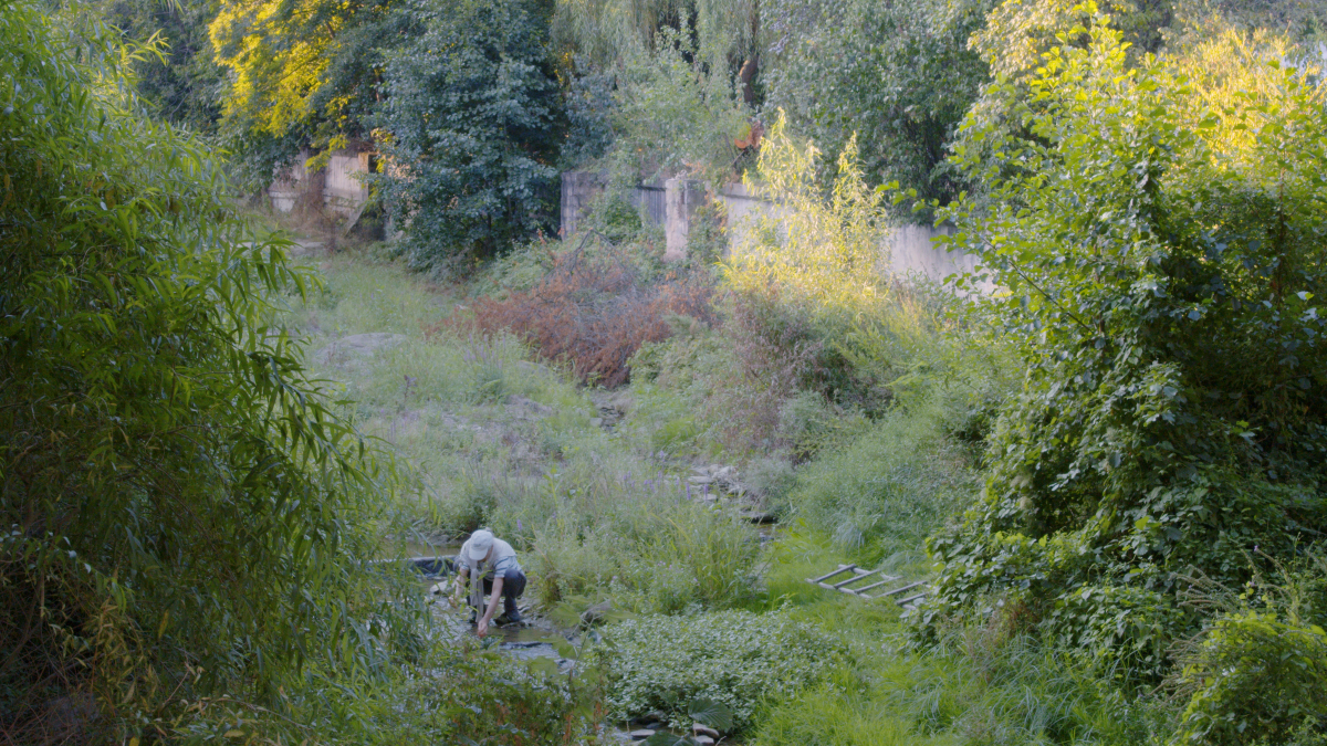 The Other Spring