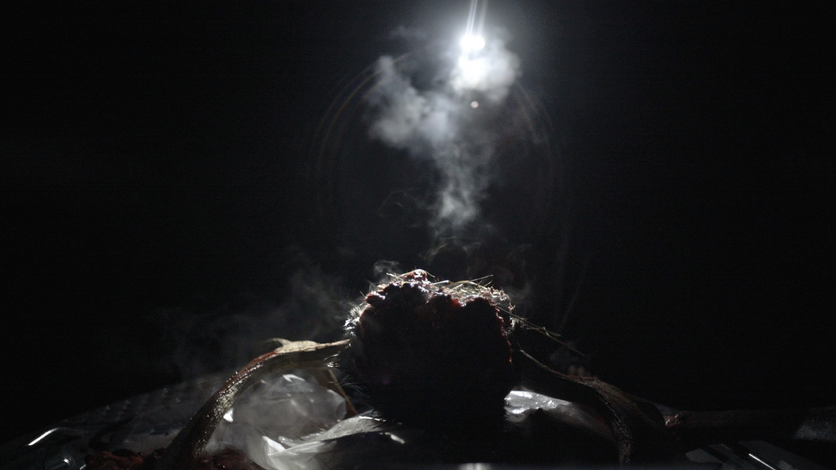 Nostromo