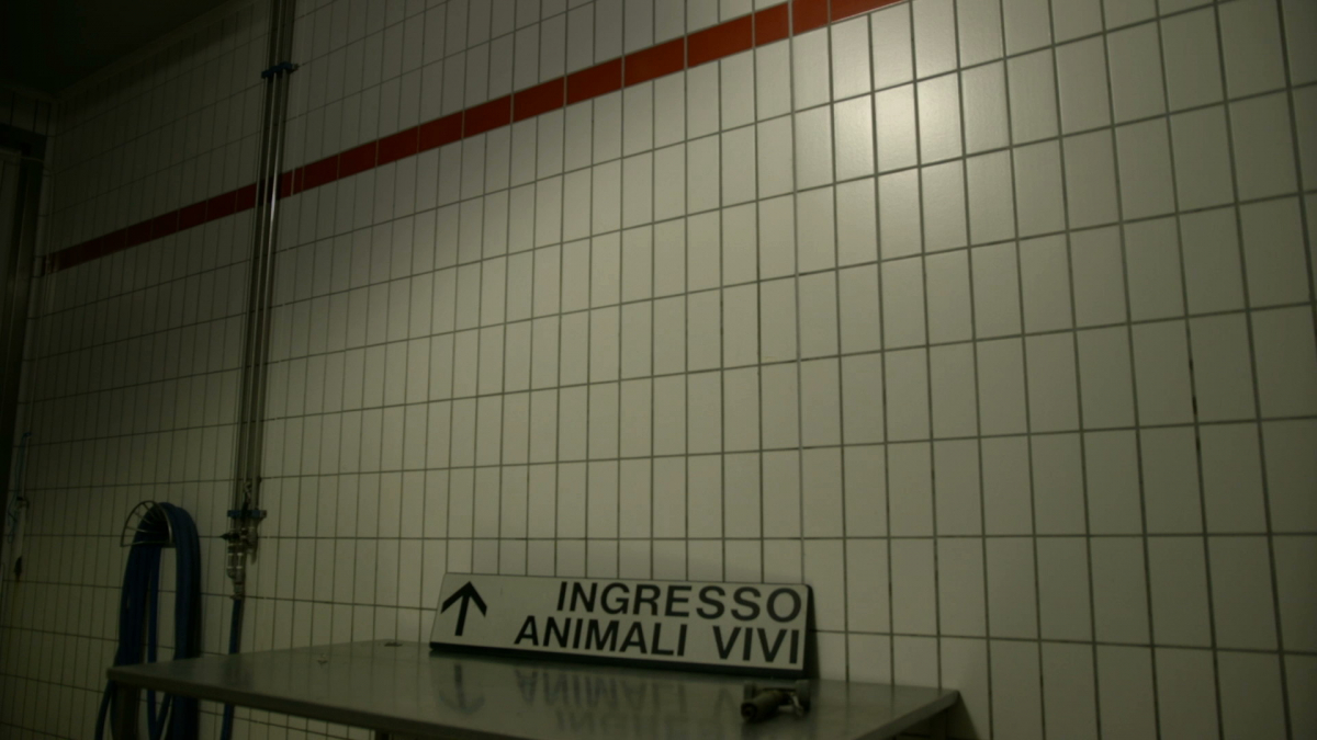 Ingresso Animali Vivi