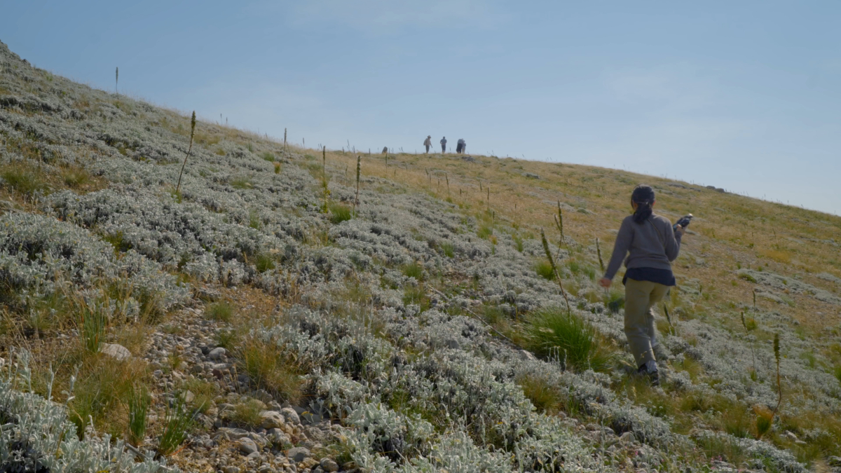 As the Spring Arrives, Water Recalls the Nomads