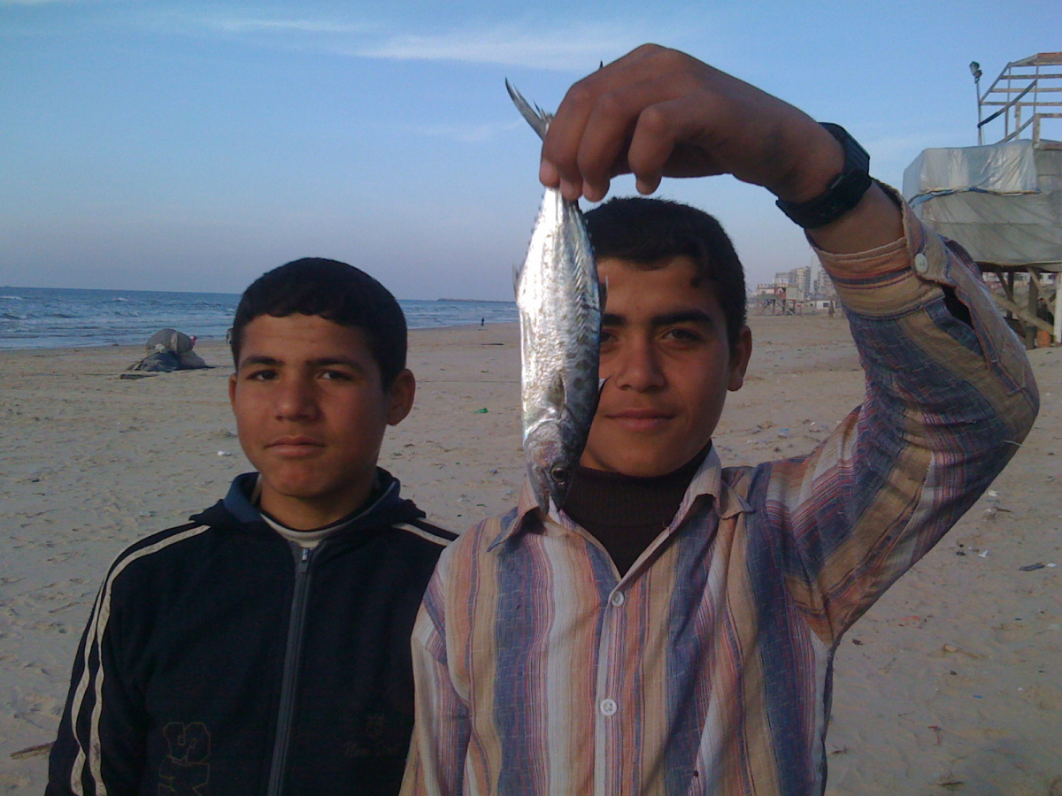 Aisheen (Still Alive in Gaza)