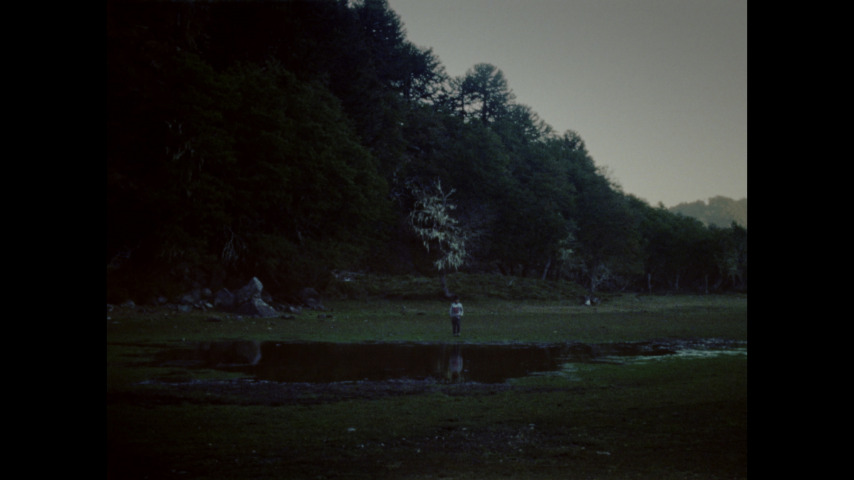 The Departing Images