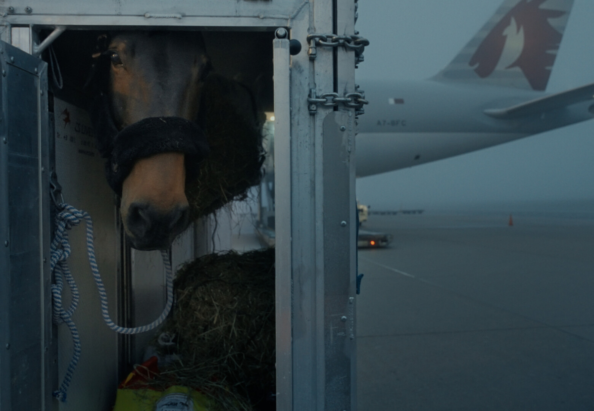 Air Horse One