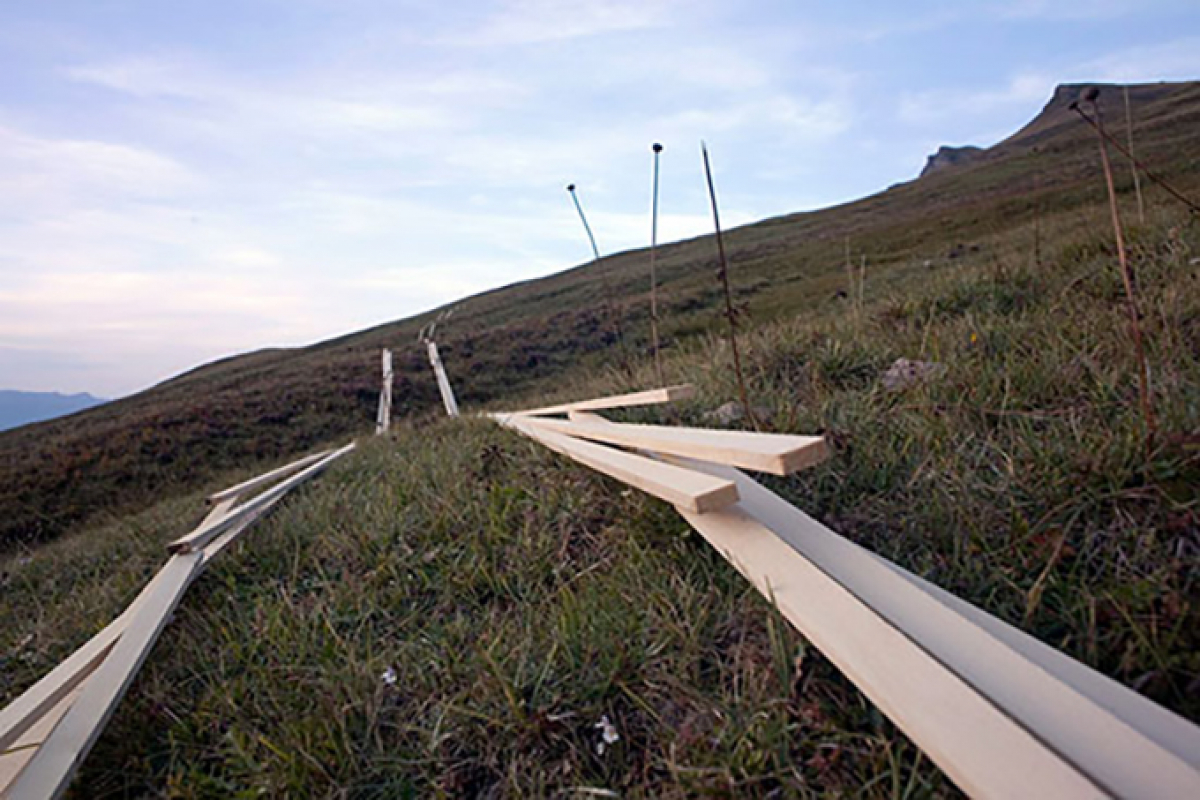 Stick Climbing