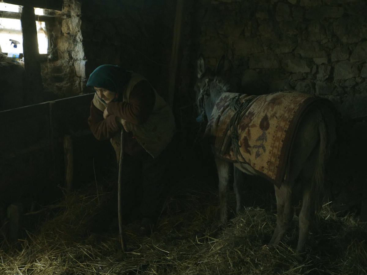 Fran and Verka: or a usual day in abandoned village