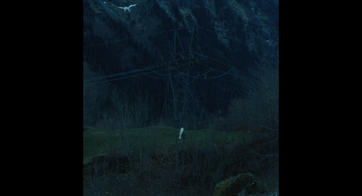 Nest