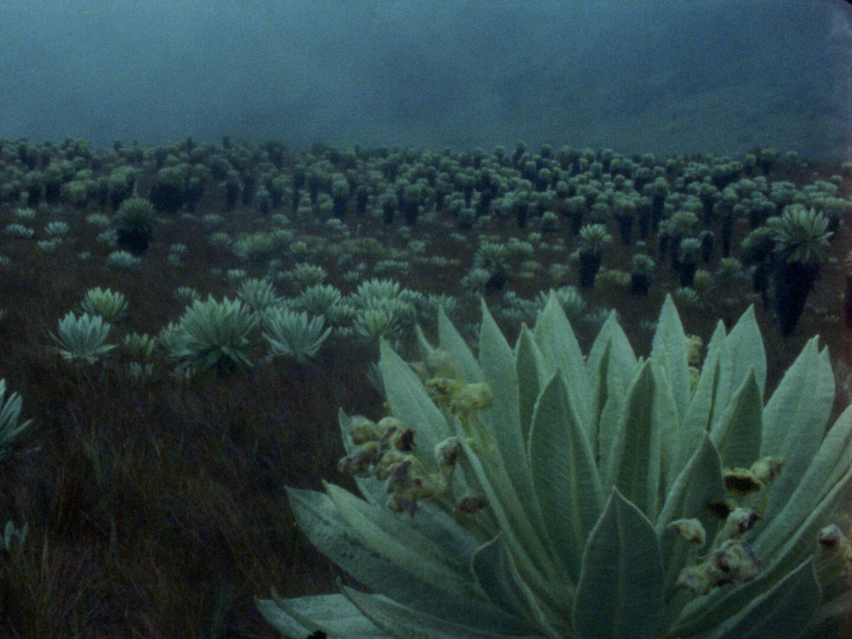 The Soldier's Lagoon