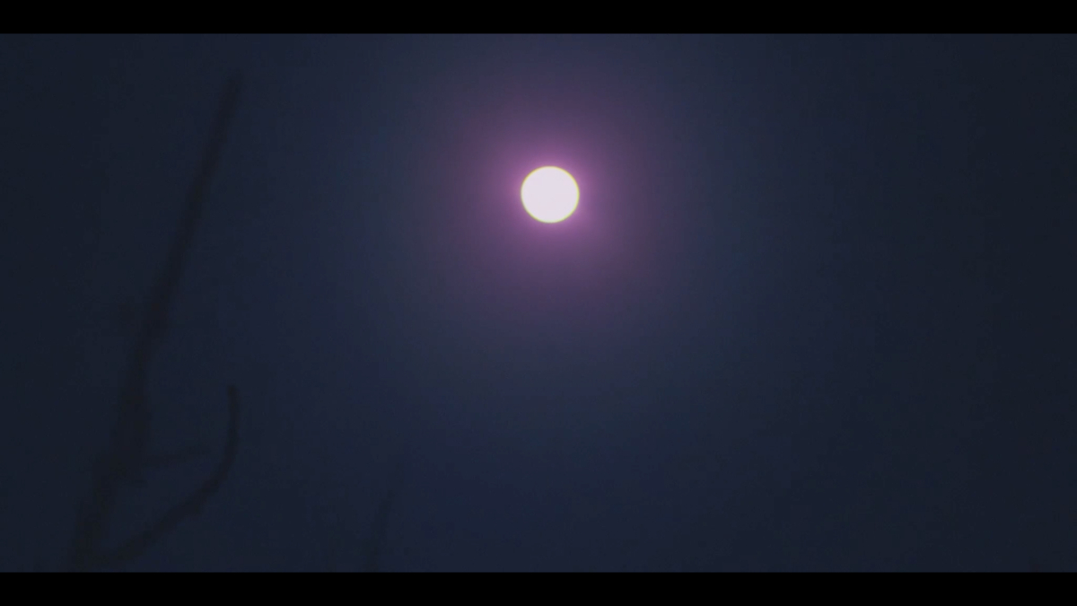 Pink Moon