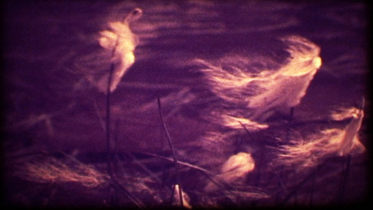 The Sounds of Insects – Record of a Mummy