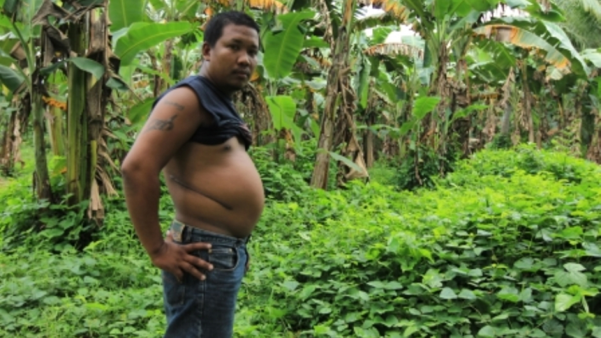 Tales from the Organ Trade
