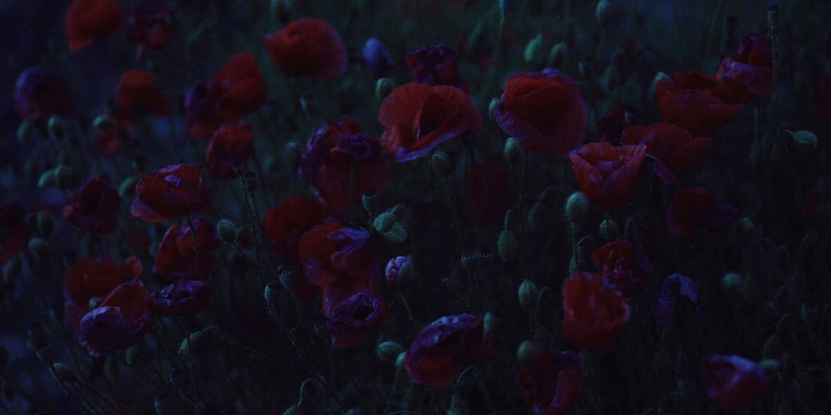 Landscapes of Resistance