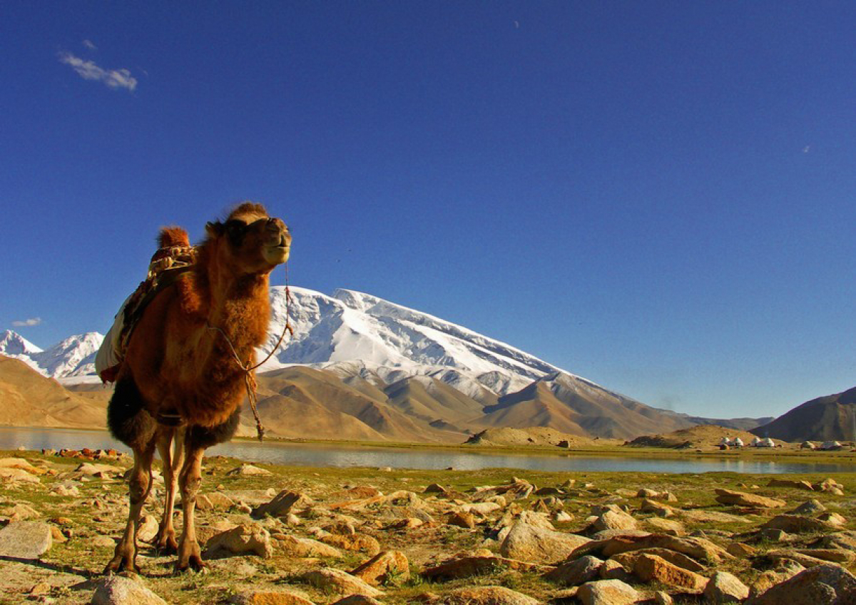Nomad’s Land