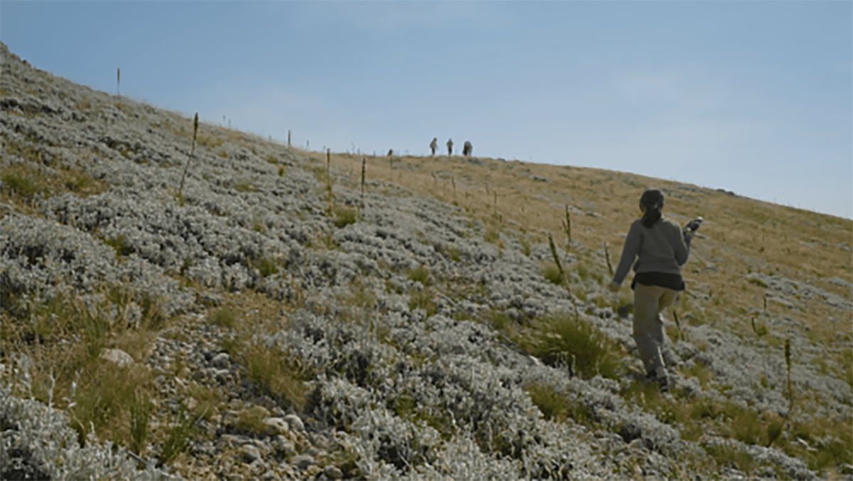 As the Spring Arrives, Water Recalls the Nomads