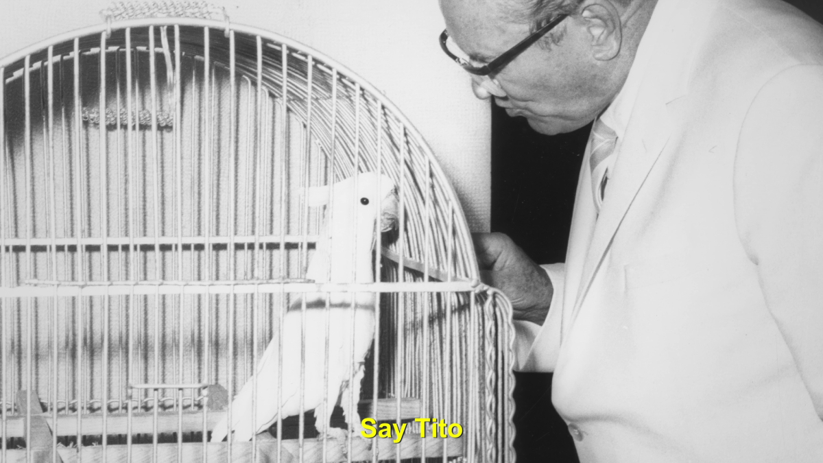 Koki, Ciao