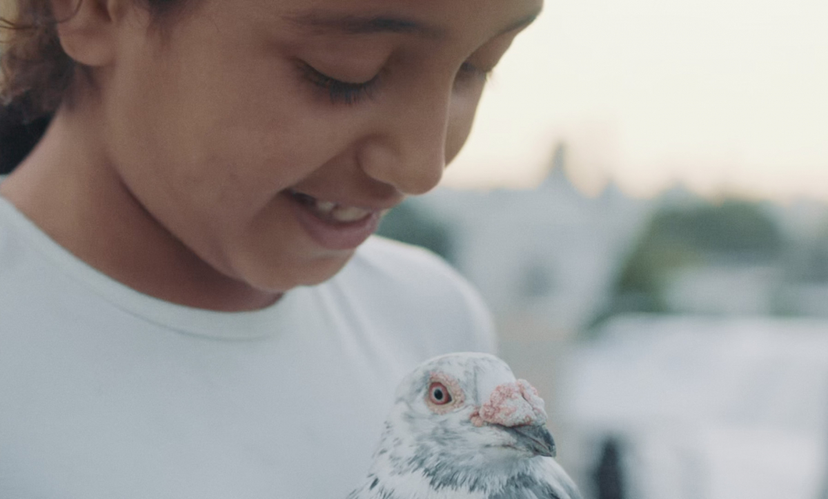 Kash Kash - without feathers we can't live