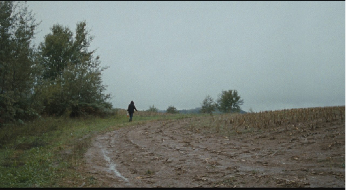 The Landscape and the Fury