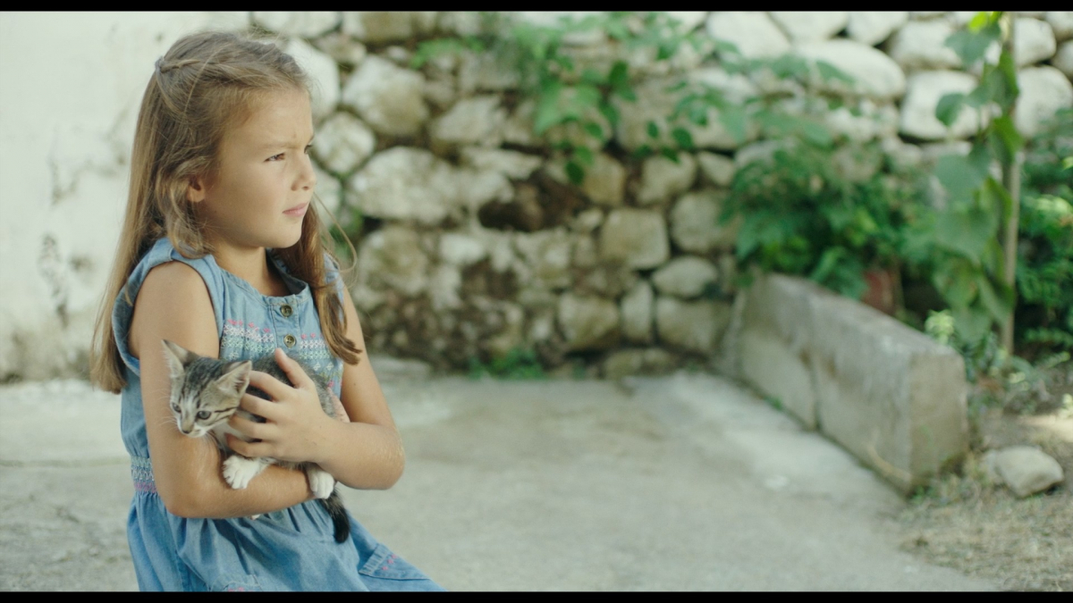 Of Cats and Daughters