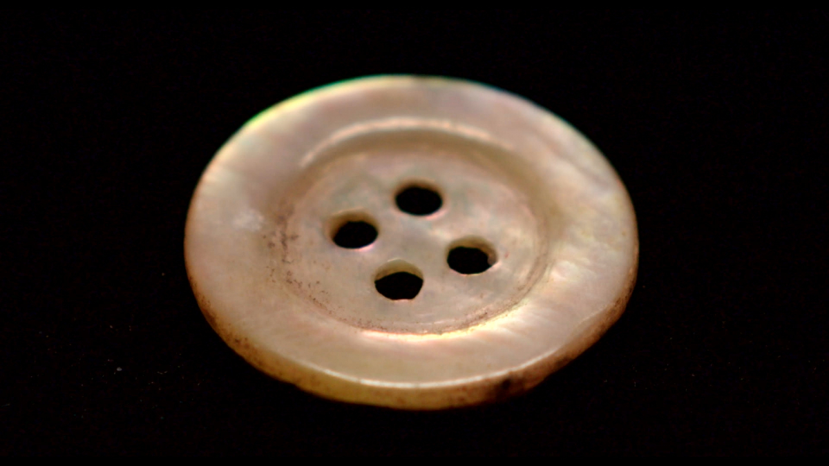 The Pearl Button