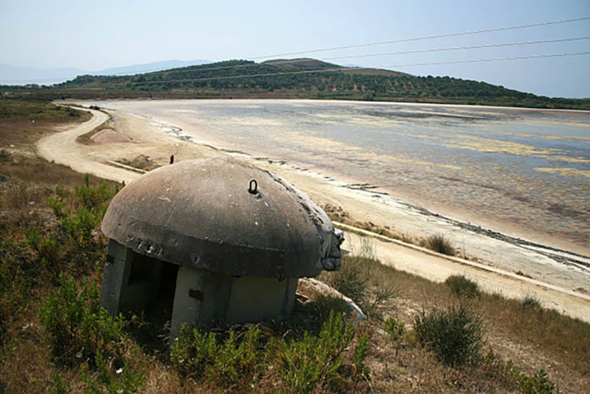 Concrete Mushrooms