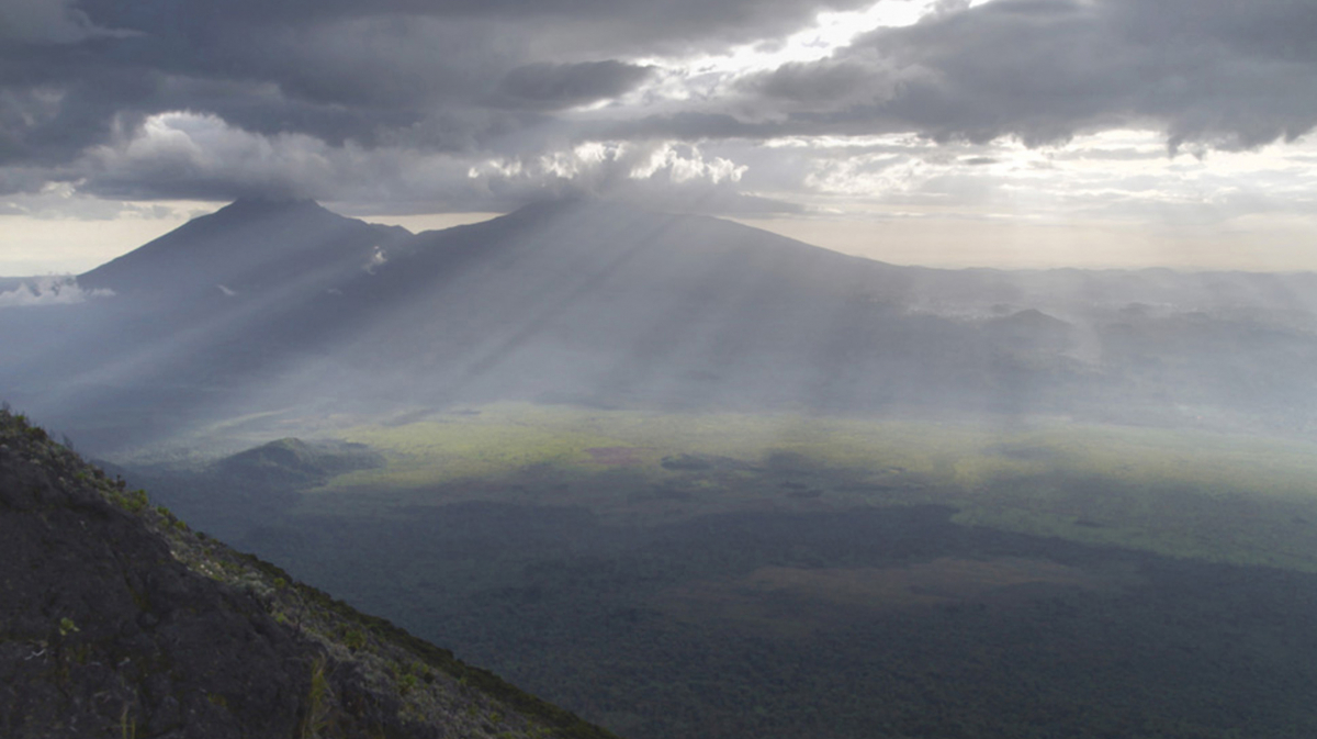 Virunga