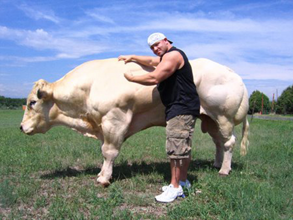 Bigger, Stronger, Faster