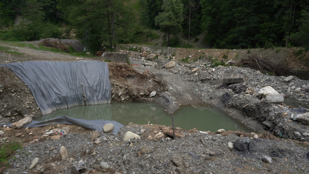 The Torrent Of Nothing