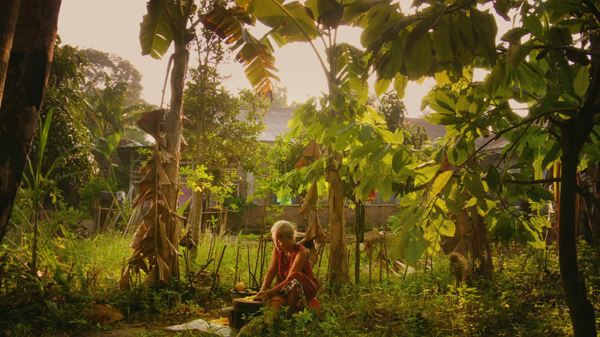 The Look of Silence