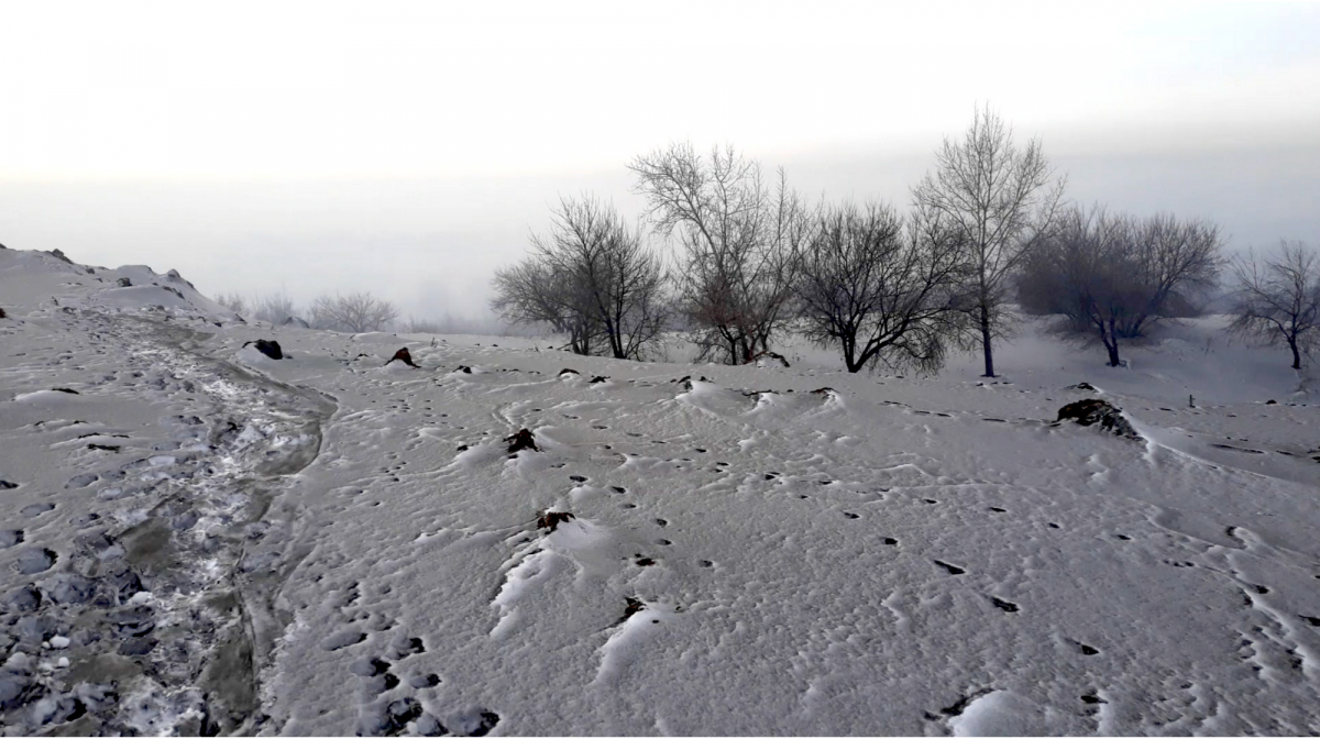 Black Snow