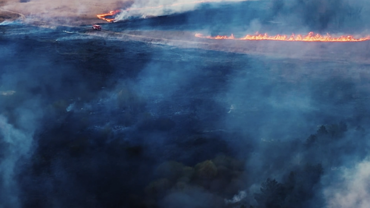 Wildfires