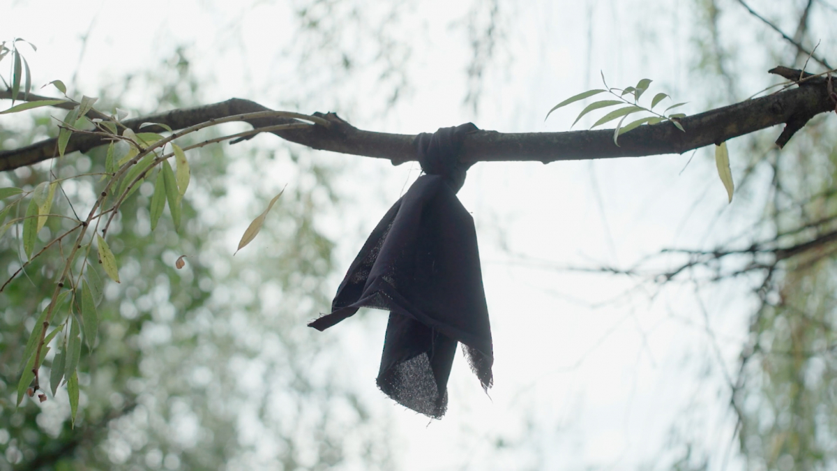 Blood in the blackbirds' field. A story of war, justice and resilience.