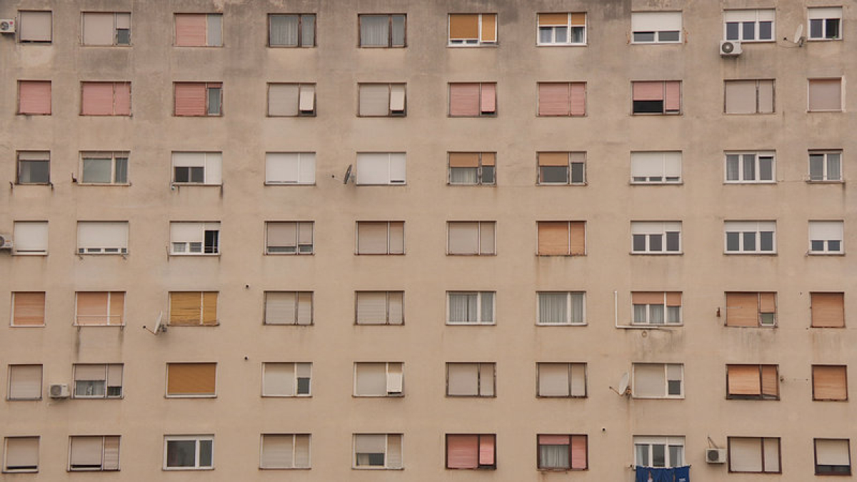 Veruda – A Film about Bojan