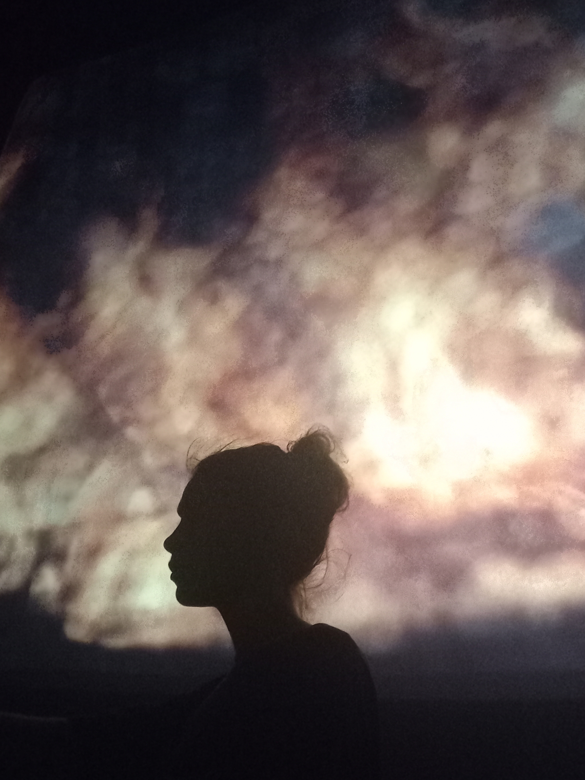 Live Experience: A CAGE IN SEARCH OF A NIGHTINGALE by Elvin Brandhi and Daniel Bird
