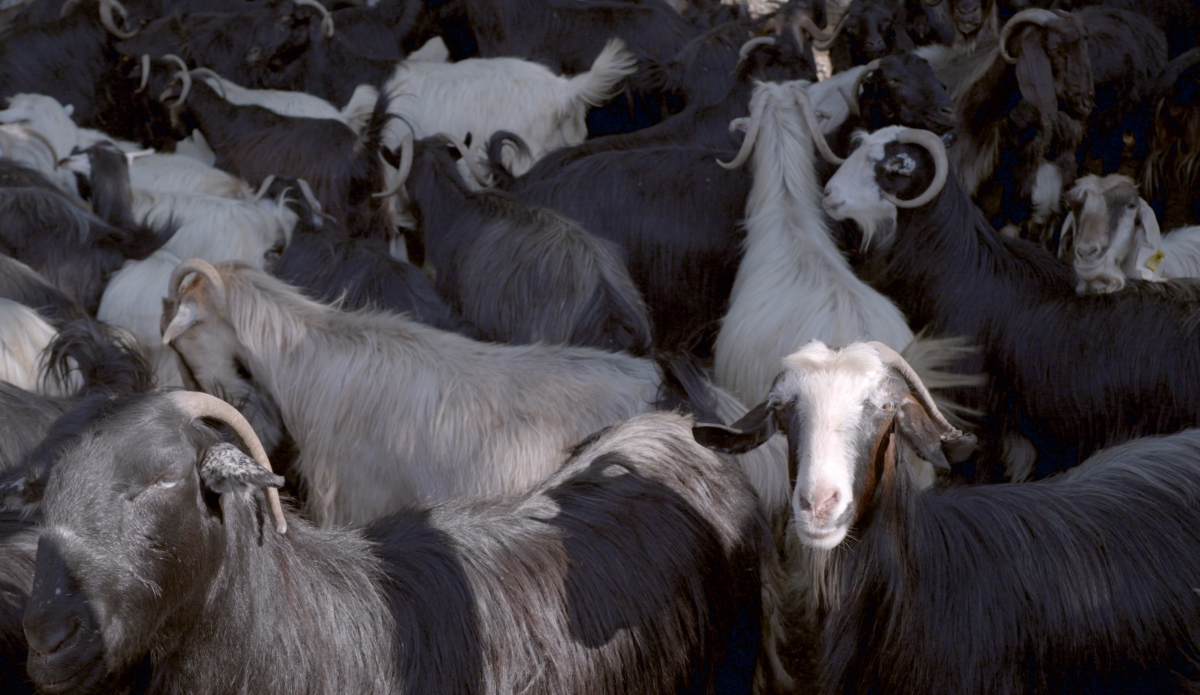 As the Spring Arrives, Water Recalls the Nomads