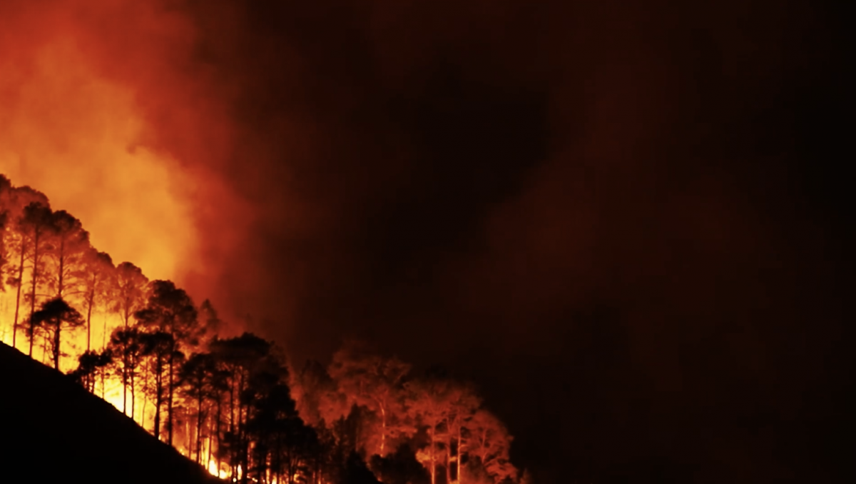 Wildfires